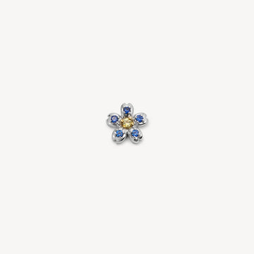 "Blaue Blume"